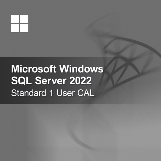 Microsoft SQL Server 2022 Standard 1 användar-CAL