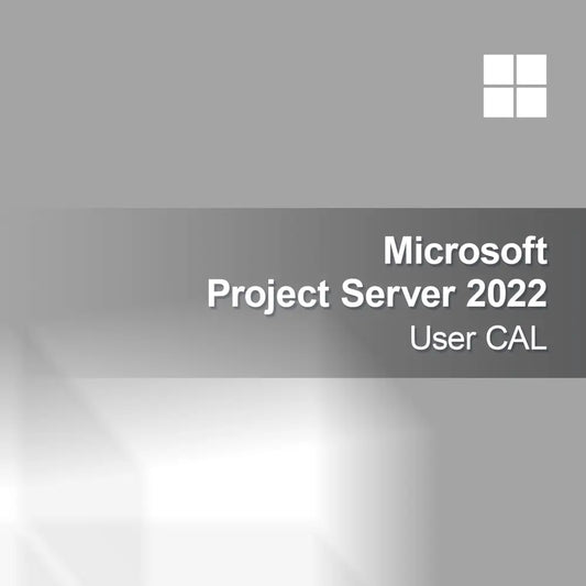 Microsoft Project Server 2022 Användar-CAL