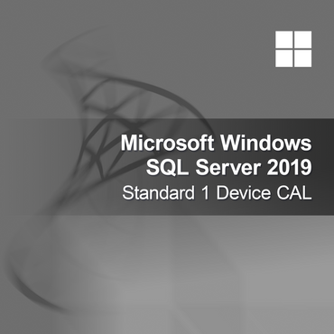 Microsoft SQL Server 2019 Standard 1 enhets-CAL