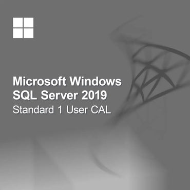 Microsoft SQL Server 2019 Standard 1 användar-CAL