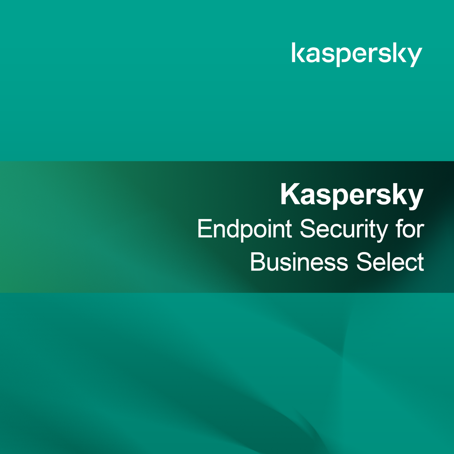 Kaspersky Endpoint Security för Business Select