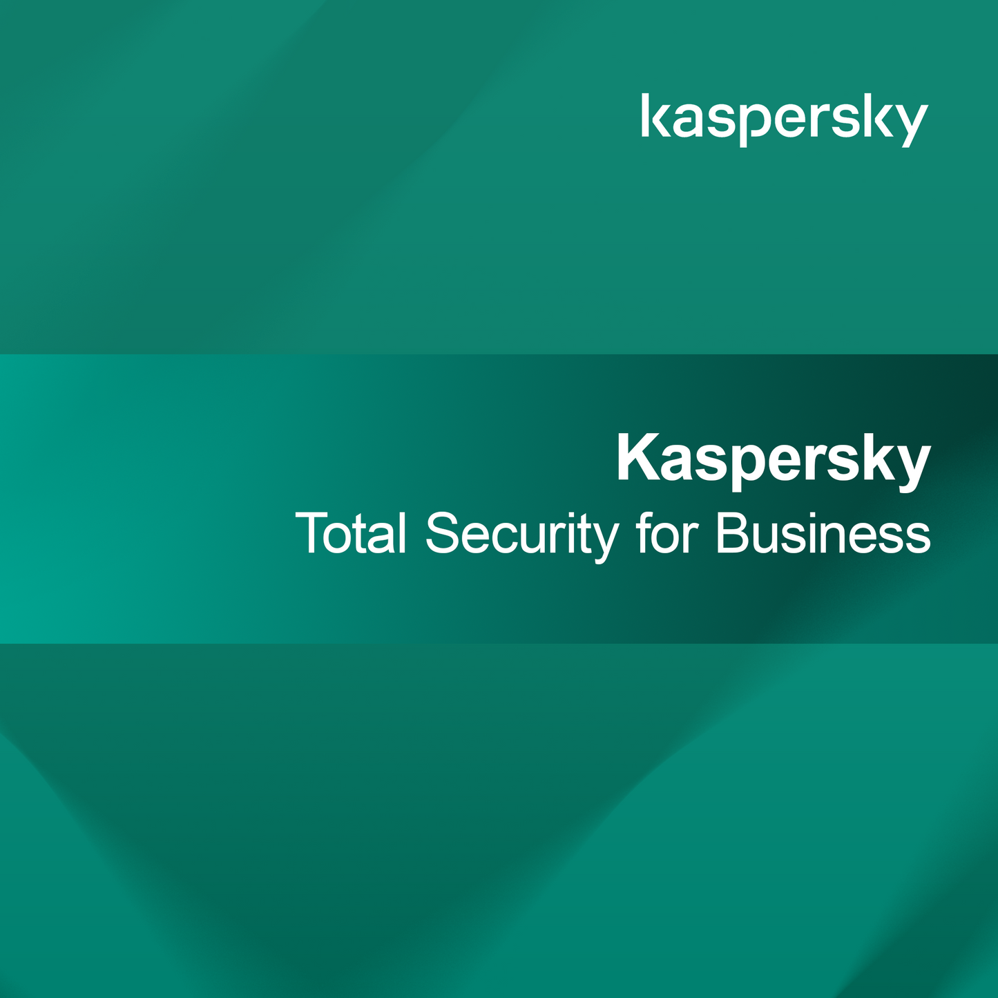 Kaspersky Total Security för företag