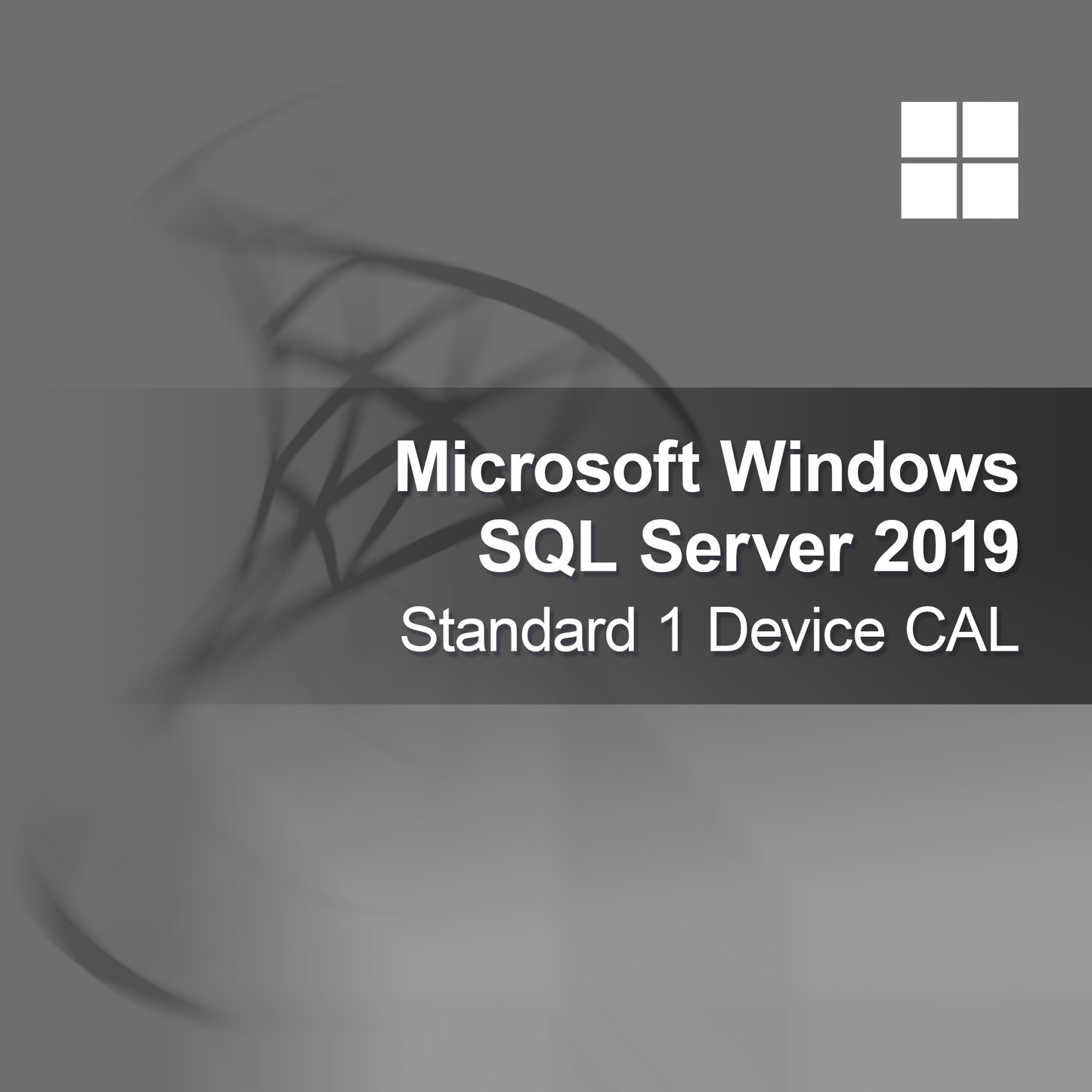 Microsoft SQL Server 2019 Standard 1 enhets-CAL