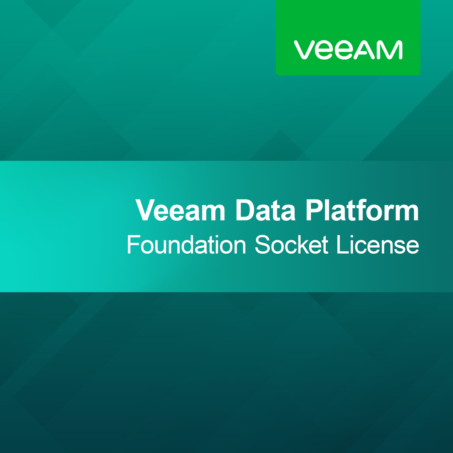 Veeam Data Platform Foundation Socket-licens